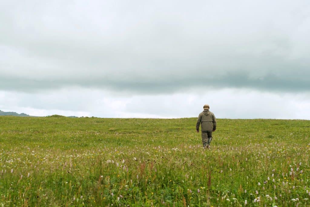 photo of a walker in an open field