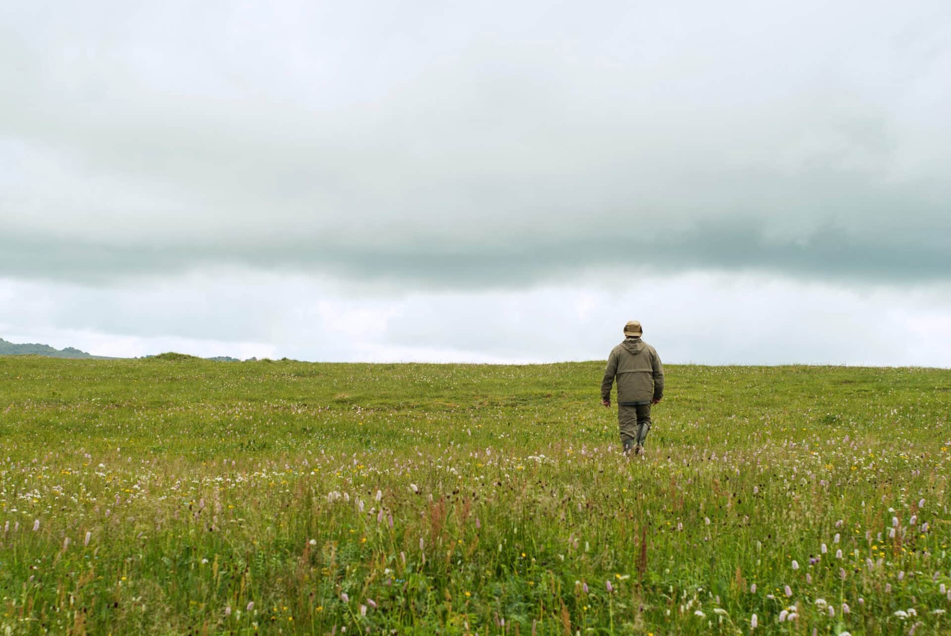 photo of a walker in an open field