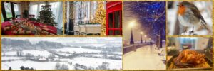 ECV winter wonderland collage