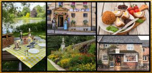 collage of May 2025 newsletter index