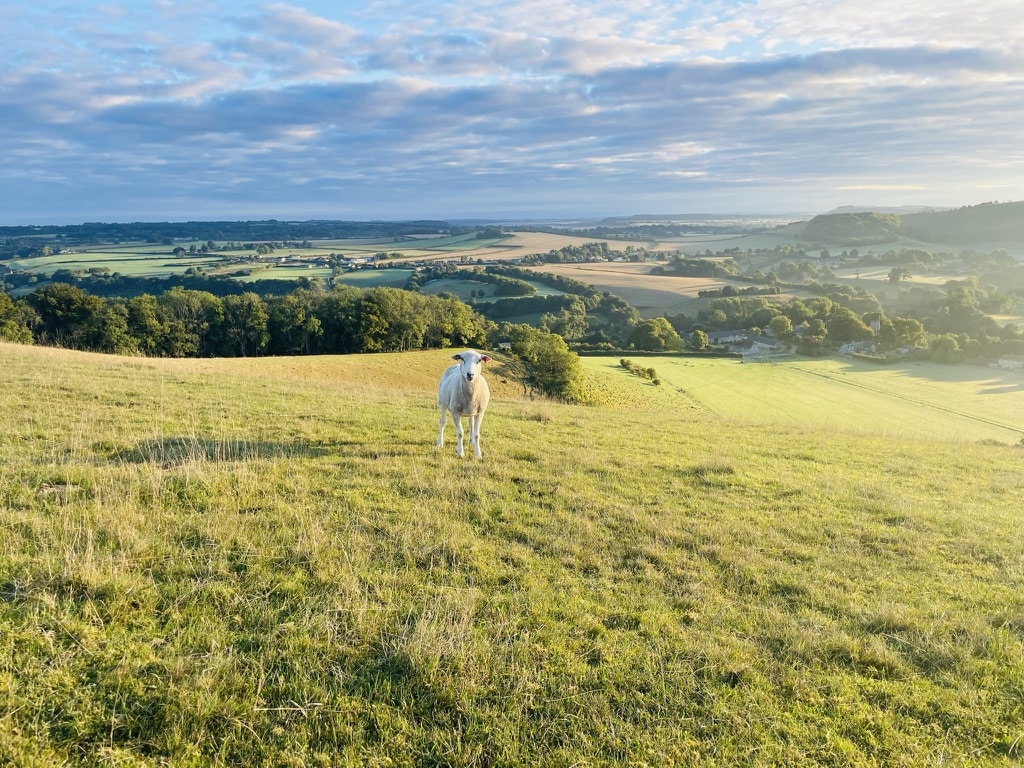 D75FD84B-3921-4B39-8C3C-91DBECF87CE7_1_105_c