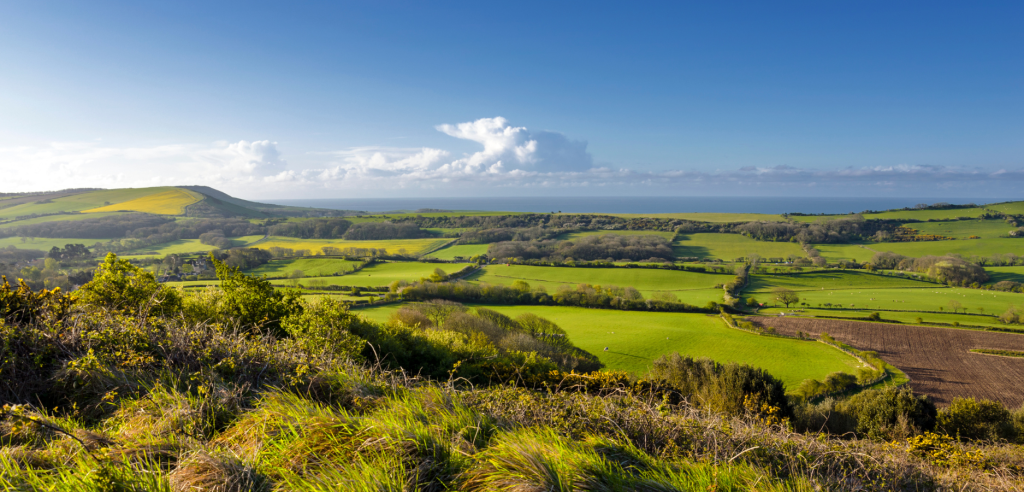 view across countryside of the Isle of Purbeck in Dorset view across countryside of the Isle of Purbeck in Dorset