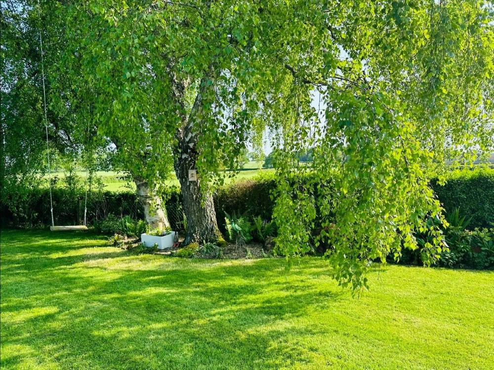 ecv-garden3-resize