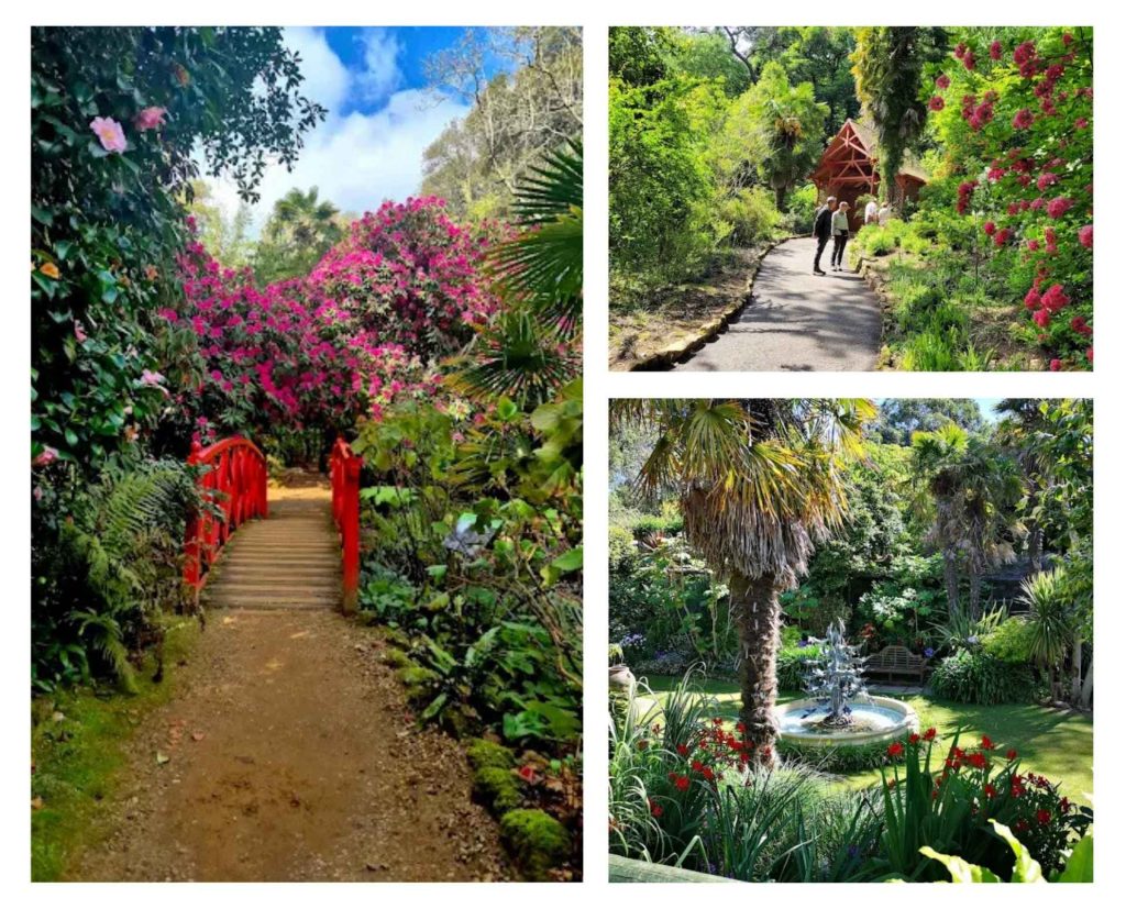 collage of Abbotsbury Gardens
