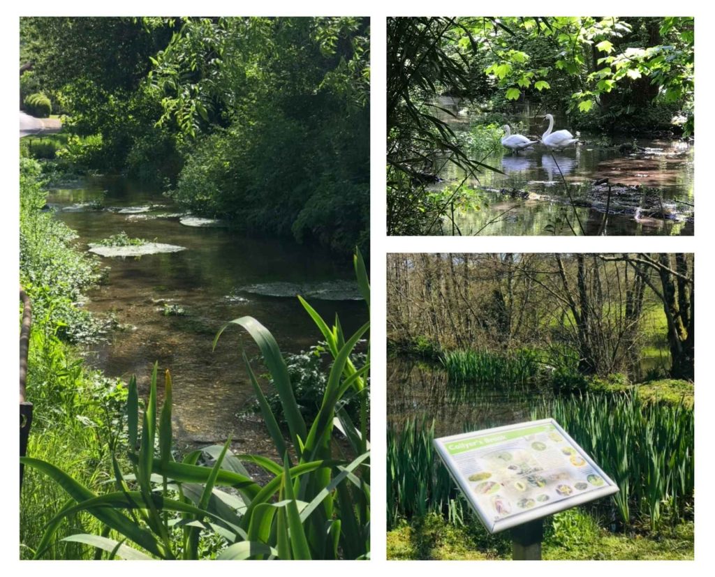 collage of Collyers Brook images for May 2026 newsletter
